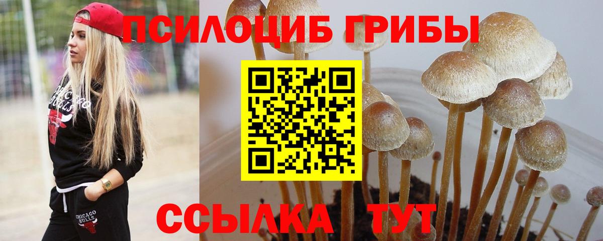 Псилоцибиновые грибы мухоморы  Галлюциногенные грибы прущие грибы  Вход с VPN  Георгиевск 